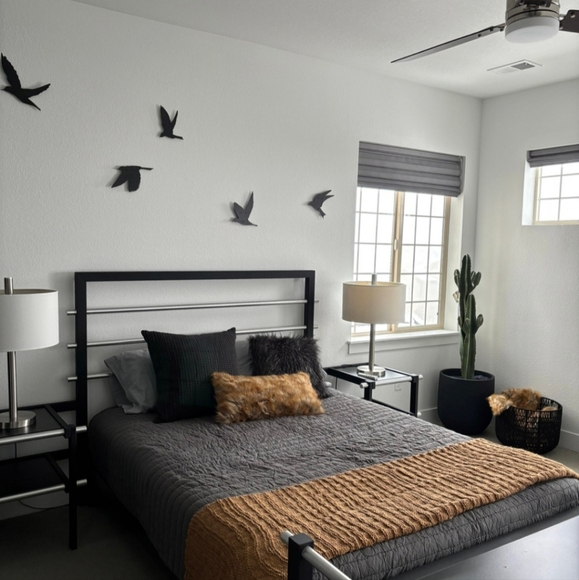 Birds - Picture 6 of 8